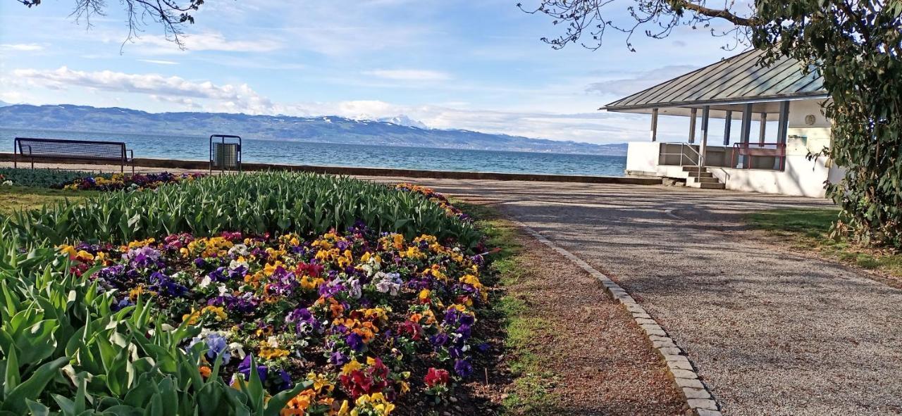 BodenSEE Apartments Kressbronn HAUS AM SEEPARK Kressbronn am Bodensee Exterior foto